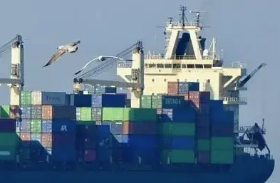 天津貨代公司帶您了解貨代公司的主要業(yè)務(wù)有哪些？