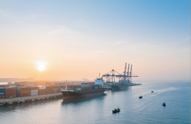 服裝進口有高招，國際海運貨代來助力