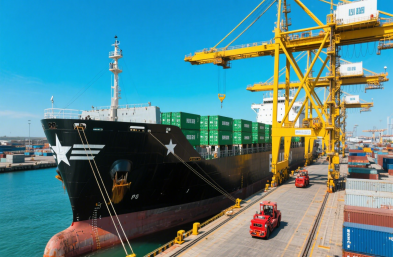 國際海運(yùn)物流公司：高效運(yùn)輸，縮短木材出口時空距離